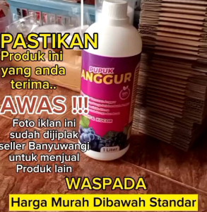 Pupuk Anggur Ramah Lingkungan: Pencegahan Hama & Penyuburan Tanah