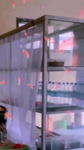 Gorden Jendela dengan Model Kawat S Pelindung Makanan