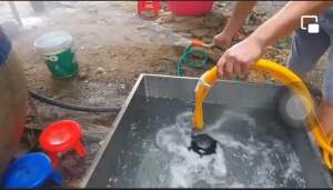 Bộ Khuấy Thuốc Sâu Bộ Quạt đảo trộn Thuốc Sâu tự động 2 Lớp Lưới Lọc Ty sứ Hàng Bằng Gang Loại 1