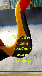 ไก่ยางพารา ไก่ปลอม อุปกรณ์สำหรับออกกำลังกายไก่ชน400