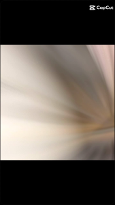 บอดี้สูทตาข่ายแขนยาว งานปัง สวยตาแตกมาก เข้าใหม่ สวยแซ่บอีกแล้วคร่า3 สี ขาว ดำ ครีม ราคาดีย์อีกแล้วคร่าา 139 .-