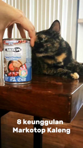 Markotops Kaleng 400gr Adult & Kitten Markotop Kaleng 400gr Tuna Chicken / Salmon / Shrimp / Cheese / Smoked Tuna / Sardine Crab / Sardine Chicken Makanan Basah Kucing Wet Cat Food Wet Food