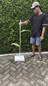 standing bunga giant flower dekorasi pelaminan 1 tangkai tatakan triplek kombinasi daun di tangkainya / giant flower photogrgraphi / bunga hias Aksesoris