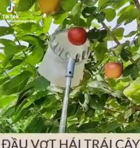 Đầu vợt hái trái cây bằng inox