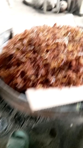 BELALANG GORENG