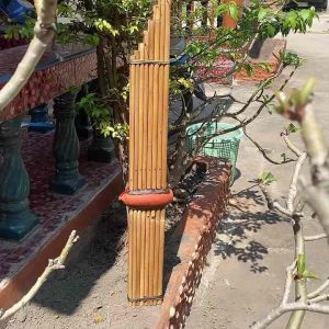 คุณค่า 8 ลิ้น เงิน ใช้เยาว์ เต้าไม้ เป่าไม่กินลม พิเศษ สมัครสมอง ผสม ออกงานสบาย