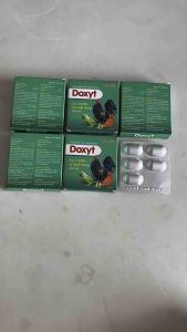 Vemedim Doxyt 10 Viên - CRD Tụ Huyết Trùng Ở Gà Vịt Chim Cảnh Bồ Cầu và Sốt Vẹt