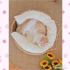 [READY STOCK] Cattail Grass Pet Bed Dog Cat Bed Pet House Pet Nest | Rumput Cattail Kucing Sarang | 香蒲草编织宠物猫窝狗窝 猫狗屋 猫狗床 宠物窝