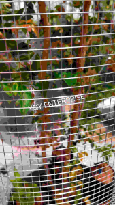 304 Stainless Steel Wire Mesh BBQ Mesh Wire Netting 1.2mm Thickness 1meter width 304不锈钢电焊网