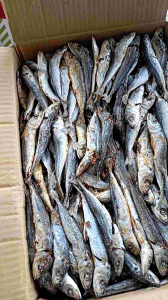 ikan asin LAYANG REBUS murah / klotok rebus 1 kg