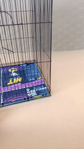 kandang burung jalak/ kutulang gantung kotak bisa d lipat uk 30x48..