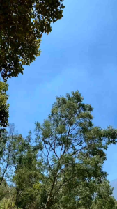 tenda kumano 1p red alert