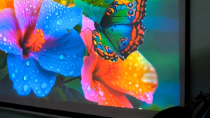 Máy chiếu sanyo xw50 mới 94%