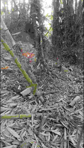 ดิจิทัลซูมา แบบ 20 นิ้ว เสือป่า สวยงาม M85 หนา 2 มิล ลับคม 2 ราคาพิเศษ ใบมีดตัดหญ้า