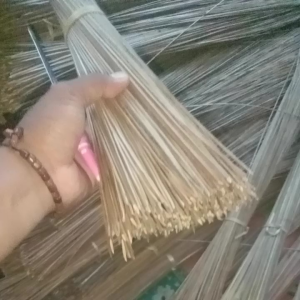 Sapu lidi kelapa Original Pembersih Halaman Ramah lingkungan