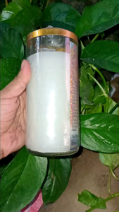 7DAYS Candle/Manaoag Candle/SMOKELESS candle