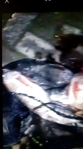 ESSEN TARGET BABON DAN RAME AROMA BOLU SEREH