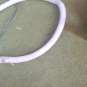 Kertas Popcorn Ramah Lingkungan & Desain Menarik