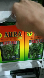 BIBIT TIMUN TAHAN VIRUS BESTIE F1 ISI 20 GRAM AURA SEED SETARA BENIH SEMI BINTANG ASIA