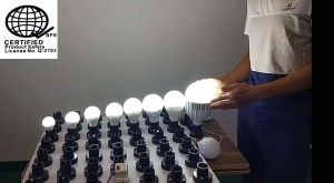 Rohstar LED Screw-In Bulbs: A Comprehensive Guide