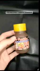 Rhizattun F: Hormon Perangsang Tumbuh Bunga & Benih Umbi