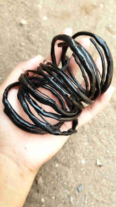 Gelang Akar Bahar Hitam Minimalis