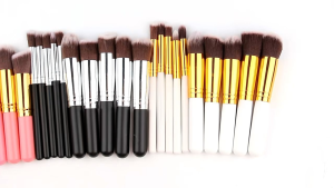 Cosmetic Beauty Accessories Makeup Brush Brushes Kit Set Tool [1Set/10 pcs]