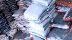 Media Tanam Terbaik - Untuk Segala Jenis Tanaman Hias Di Jamin Mantul\\n\\n Apa Itu Media Tanam Terbaik?\\n\\nMedia tanam terbaik adalah campuran tanah yang dirancang khusus untuk mendukung pertumbuhan dan perkembangan tanaman hias dengan optimal. Ini memastikan bahwa tanaman mendapatkan nutrisi, air, dan oksigen yang cukup untuk tumbuh dan berkembang dengan sehat. Media tanam terbaik harus memiliki struktur yang baik, permeabilitas air yang baik, dan kemampuan untuk menyimpan nutrisi tanaman.\\n\\n Manfaat Media Tanam Terbaik\\n\\nMedia tanam terbaik memberikan berbagai manfaat bagi tanaman hias, termasuk:\\n\\n- Meningkatkan pertumbuhan dan perkembangan tanaman\\n- Memastikan tanaman mendapatkan nutrisi yang cukup\\n- Meningkatkan daya tahan tanaman terhadap penyakit dan hama\\n- Memudahkan pengairan dan pengontrolan kelembaban\\n\\n Cara Memilih Media Tanam Terbaik\\n\\nUntuk memilih media tanam terbaik, pertimbangkan beberapa faktor seperti jenis tanaman, kebutuhan nutrisi, dan kondisi lingkungan. Beberapa tip memilih media tanam terbaik antara lain:\\n\\n- Pastikan media tanam memiliki struktur yang baik dan permeabilitas air yang baik\\n- Pilih media tanam yang sesuai dengan jenis tanaman yang akan ditanam\\n- Perhatikan nutrisi yang dibutuhkan oleh tanaman dan pastikan media tanam dapat menyediakannya\\n\\n Media Tanam Multifungsi: Solusi Ideal Untuk Tanaman Hias\\n\\nMedia tanam multifungsi adalah campuran tanah yang dirancang untuk mendukung pertumbuhan dan perkembangan berbagai jenis tanaman hias. Ini merupakan solusi ideal bagi mereka yang ingin menanam berbagai jenis tanaman hias tanpa perlu repot memilih media tanam yang tepat untuk setiap jenis tanaman.\\n\\n Kelebihan Media Tanam Multifungsi\\n\\nMedia tanam multifungsi memiliki berbagai kelebihan, termasuk:\\n\\n- Memudahkan penggunaan tanaman hias dengan berbagai jenis\\n- Meningkatkan pertumbuhan dan perkembangan tanaman hias\\n- Memastikan tanaman mendapatkan nutrisi yang cukup\\n\\n Tips Penggunaan Media Tanam Multifungsi\\n\\nUntuk menggunakan media tanam multifungsi dengan efektif, ikuti beberapa tip berikut:\\n\\n- Pastikan media tanam multifungsi memiliki struktur yang baik dan permeabilitas air yang baik\\n- Pilih media tanam multifungsi yang sesuai dengan jenis tanaman yang akan ditanam\\n- Perhatikan nutrisi yang dibutuhkan oleh tanaman dan pastikan media tanam multifungsi dapat menyediakannya\\n\\n Tanaman Hias Tahan Lama: Menjaga Kualitas Tanaman Dengan Media Tanam Terbaik\\n\\nUntuk menjaga kualitas tanaman hias tahan lama, penting untuk menggunakan media tanam terbaik. Media tanam terbaik dapat membantu menjaga kualitas tanaman hias dengan memastikan bahwa tanaman mendapatkan nutrisi, air, dan oksigen yang cukup untuk tumbuh dan berkembang dengan sehat.\\n\\n Mempertahankan Kualitas Tanaman Hias\\n\\nUntuk mempertahankan kualitas tanaman hias, pastikan untuk menggunakan media tanam terbaik dan menjaga kondisi lingkungan yang sesuai. Beberapa tip untuk mempertahankan kualitas tanaman hias antara lain:\\n\\n- Pastikan media tanam memiliki struktur yang baik dan permeabilitas air yang baik\\n- Pilih media tanam yang sesuai dengan jenis tanaman yang akan ditanam\\n- Perhatikan nutrisi yang dibutuhkan oleh tanaman dan pastikan media tanam dapat menyediakannya\\n\\n Menggunakan Media Tanam Terbaik Untuk Tanaman Hias Tahan Lama\\n\\nUntuk menggunakan media tanam terbaik untuk tanaman hias tahan lama, ikuti beberapa tip berikut:\\n\\n- Pilih media tanam yang sesuai dengan jenis tanaman yang akan ditanam\\n- Pastikan media tanam memiliki struktur yang baik dan permeabilitas air yang baik\\n- Perhatikan nutrisi yang dibutuhkan oleh tanaman dan pastikan media tanam dapat menyediakannya\\n\\n Media Tanam Siap Pakai: Solusi Praktis Untuk Tanaman Hias Berkualitas\\n\\nMedia tanam siap pakai adalah campuran tanah yang dirancang khusus untuk mendukung pertumbuhan dan perkembangan tanaman hias dengan optimal. Ini merupakan solusi praktis bagi mereka yang ingin menanam tanaman hias berkualitas tanpa perlu repot membuat campuran tanah sendiri.\\n\\n Keuntungan Menggunakan Media Tanam Siap Pakai\\n\\nMedia tanam siap pakai memiliki berbagai keuntungan, termasuk:\\n\\n- Memudahkan penggunaan tanaman hias berkualitas\\n- Meningkatkan pertumbuhan dan perkembangan tanaman hias\\n- Memastikan tanaman mendapatkan nutrisi yang cukup\\n\\n Tips Memilih Media Tanam Siap Pakai Yang Tepat\\n\\nUntuk memilih media tanam siap pakai yang tepat, ikuti beberapa tip berikut:\\n\\n- Pastikan media tanam siap pakai memiliki struktur yang baik dan permeabilitas air yang baik\\n- Pilih media tanam siap pakai yang sesuai dengan jenis tanaman yang akan ditanam\\n- Perhatikan nutrisi yang dibutuhkan oleh tanaman dan pastikan media tanam siap pakai dapat menyediakannya\