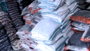 Tabulampot-Media Tanaman buah dalam pot cepat berbuah