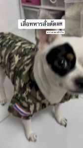 ชุดทหารสุนัข แมว เสื้อทหารหมา ลายพราง Thai army