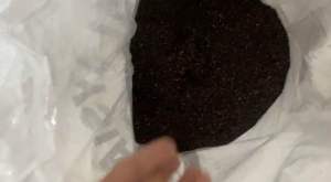 Premium Black Bario Rice | Hand-Harvested Highland Super Grain | Rich in Antioxidants & Natural Aroma