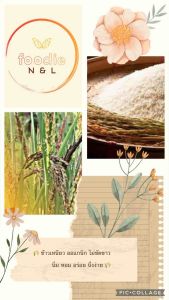 🍚 ข้าวเหนียวนาปี 🌾1 กก.🌾 จากชาวนา จ.ยโสธร นึ่งแล้ว นุ่ม หอม อร่อย