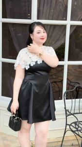 Đầm Tiểu Thư Bigsize 50-90KG Dễ Thương Thanh Lịch Gọn Dáng Đi Làm Đi Tiệc Đi Chơi - D333 - Ú Xinh Store (Áo Choàng Ren)