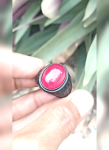 Natural Akik Red Rafflesia 18x13x5mm