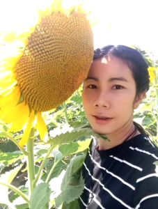 เมล็ดพันธุ์ทานตะวันอะควาร่า6 (100 เมล็ด) - ทนแล้ง ดอกใหญ่ ปลูกง่าย โตเร็ว