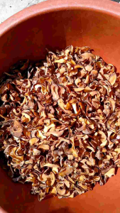 ASAM KEPING / ASAM GELUGUR KERING
