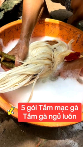 Zero Mite - Xà Bông Tắm Tri Mạt Bóng Lông Cho Gà Đá Gia Cầm Tri Nấm Lác Sát Trùng Vết Thương Ghẻ Ké Chậu.