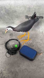 Paket Komplit Racik Perangkap Jebakan Burung Ruak Ruak + Speaker Masteran Truwok