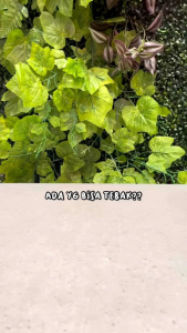 JIMS HONEY TUMBLER VER.4 TEMPAT MINUM