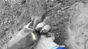 Kipas Perahu Ts 230 AS 1: Kualitas Super Awet Tahan Pukul