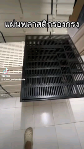 ชุดพื้นพลาสติก 4 ขนาด ให้กับกรงสัตว์เลี้ยง และชั้นวางของ รองต้นไม้ พลาสติกมีได้ที่นี่!