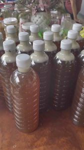 Mật ong hoa cà phê ĐaklaK loại nguyên chất không bị pha tạp chất chai 1 lít