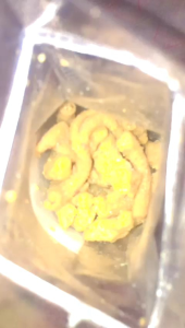 Usus Crispy Original: Snack Krispi Lezat Untuk Semua Usia