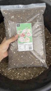 ดินกุหลาบ ดอกไม้ ดอกใหญ่ สีสวย สารอาหารครบ ป้องกันโรคพืช โดย Leat grow