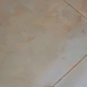 เล็บคาดรถไถ เดินตาม