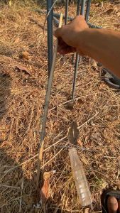 บ่วงเหยียบ ดักสัตว์ ดักหนูพังพรงูอ้นนก