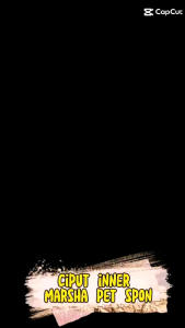 CIPUT MARSHA INNER PET SPON JERSEY JOYA