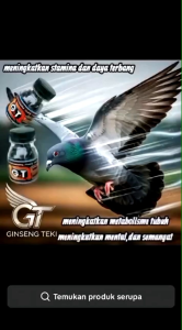 JAMU MERPATI GINSENG TEKI PLUS 150 PIL burung dara cepat giring keras dan Keket dalam 2 hari saja