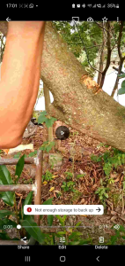 Sarung Sabit Sawit Sesuai untuk Sabit Mata 111 dan sejenisnya. Heavy-duty Safety Sickle Cover