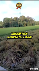 BOMA PUPUK CAIR PENGUSIR & PEMBASMI HAMA + ZPT